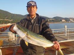 須磨海づり公園　ノマセでメジロ72cm！