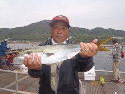 須磨海づり公園　ウキ流し釣りでメジロ63.0cm