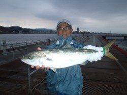 【22日】須磨海づり公園の釣果　ウキ流しでメジロ64.0cm