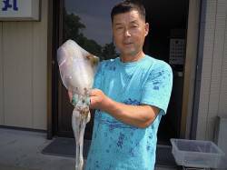 湯浅の磯　エギングでアオリイカ胴長25cm…