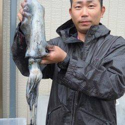 湯浅の磯　エギングでアオリイカ〜730g6パイ