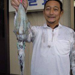 湯浅の磯でのエギング釣行　使用エギは2.5号