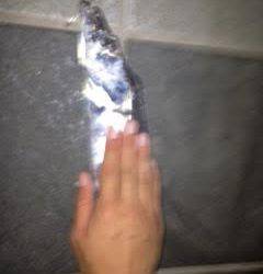 和歌山マリーナシティ　ワインドでタチウオ、引き強かったです！