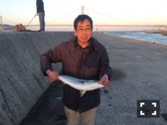 垂水一文字　スズメダイを餌に呑ませでハマチ58cm