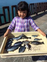 マリーナシティ海釣り公園　サビキでアジ・イ…