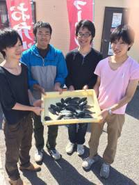 マリーナシティ海釣り公園　グレのほかアイゴ…