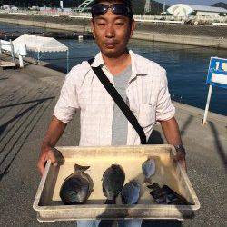 マリーナシティ海釣り公園　フカセでグレ、さしみで頂きます！