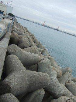 本荘人工島　投げ釣りでキス・チャリコなど夜明け前の入れ食いに満足