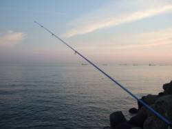 市川河口へ投げ釣りに　キビレ・ガシラ・アナ…