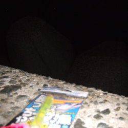 妻鹿（白浜）漁港　サンマのウキ釣りでタチウオ・ガシラ