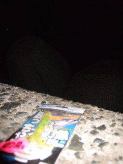 妻鹿（白浜）漁港　サンマのウキ釣りでタチウオ・ガシラ