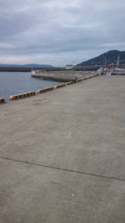 須磨にてダンゴ釣り　開始後すぐチヌ42cm…