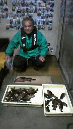 岸和田一文字　沖の北、中波戸3番でガシラと良型アコウの釣果