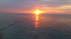 平磯海づり公園 カンダイ・カワハギ・ガシラなどで満足できました