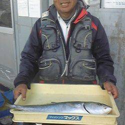 岸和田一文字　メジロ＆ブリの釣果