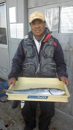 岸和田一文字　メジロ＆ブリの釣果