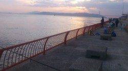 平磯海づり公園で投げ&探り釣り　イイサイズのハゲです