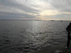 鳴尾浜　アジ・グレ・タチウオ・サヨリなどの…