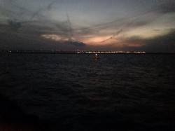 りんくう　強風の中テトラでブラクリ、リリー…