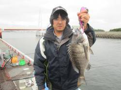 尼崎市魚つり公園　アイゴ・チヌ・サンバソウ…