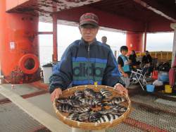 尼崎市魚つり公園　サヨイやサンバソウにメジ…