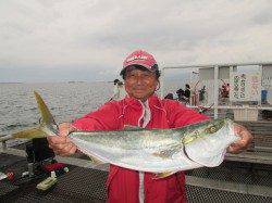 尼崎市魚つり公園　サヨイやサンバソウにメジロの姿も