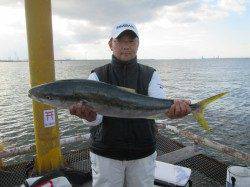 活アジのノマセ釣りで83cm5kg!サビキではコノシロ