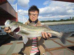 活アジのノマセ釣りで83cm5kg!サビキではコノシロ