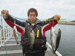 尼崎魚つり公園　エビ撒きがよくなってきました♫　ハネ・グレなど