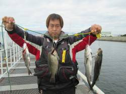 尼崎魚つり公園　エビ撒きがよくなってきまし…