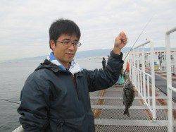 尼崎魚つり公園　エビ撒きがよくなってきました♫　ハネ・グレなど