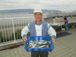 尼崎市立魚つり公園　サヨリ釣りが初めてでも数釣り楽しめたほど好調♪　
