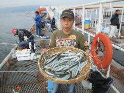 今年はサヨリの当たり年!尼崎市立魚つり公園