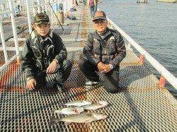 尼崎市立魚つり公園 ウキ釣りでスズキ・ハネ サヨリ狙いは午前中が◎