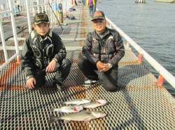 尼崎市立魚つり公園　ウキ釣りでスズキ・ハネ…