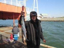 尼崎市立魚つり公園　サヨリのほかサンバソウ・アイゴ