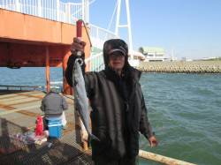 尼崎市立魚つり公園　サヨリのほかサンバソウ…