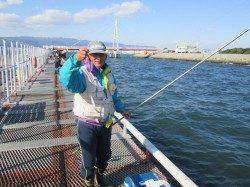 尼崎市立魚つり公園　サヨリのほかサンバソウ・アイゴ