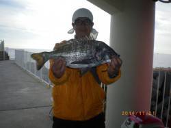 姫路市立遊漁センター　ウキ釣りでチヌ47c…