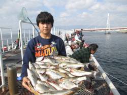 尼崎市魚つり公園　ウキ釣りでセイゴ17尾の…