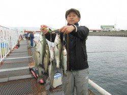 尼崎市立魚つり公園エビ撒き釣り　セイゴ入れ食い状態！一発大物の期待も大