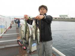 尼崎市立魚つり公園エビ撒き釣り　セイゴ入れ…