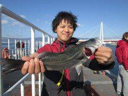 尼崎市立魚つり公園　セイゴ今日も超高活性　エビ撒きハネ釣りするなら今！