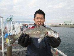 尼崎魚つり公園　早朝～昼にエビ撒きでセイゴハネ好調、初挑戦で10匹♪