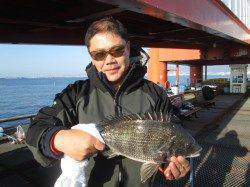 尼崎市魚つり公園 ウキ釣りでチヌの釣果出てます