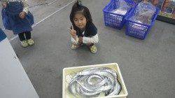 堺漁港　ワインド・ルアーでタチウオの釣果出てます