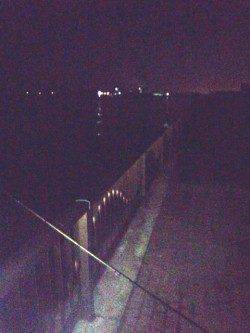 早朝ワインドで太刀魚を狙いに岸和田の波止へ