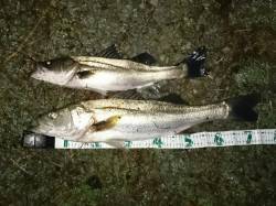 津居山にて雨の止み間にウェーディング　74…