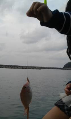 香住東港　ちょい投げでキス楽しめる