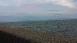 風が強い中ショアジギングでサゴシ　東二見人…